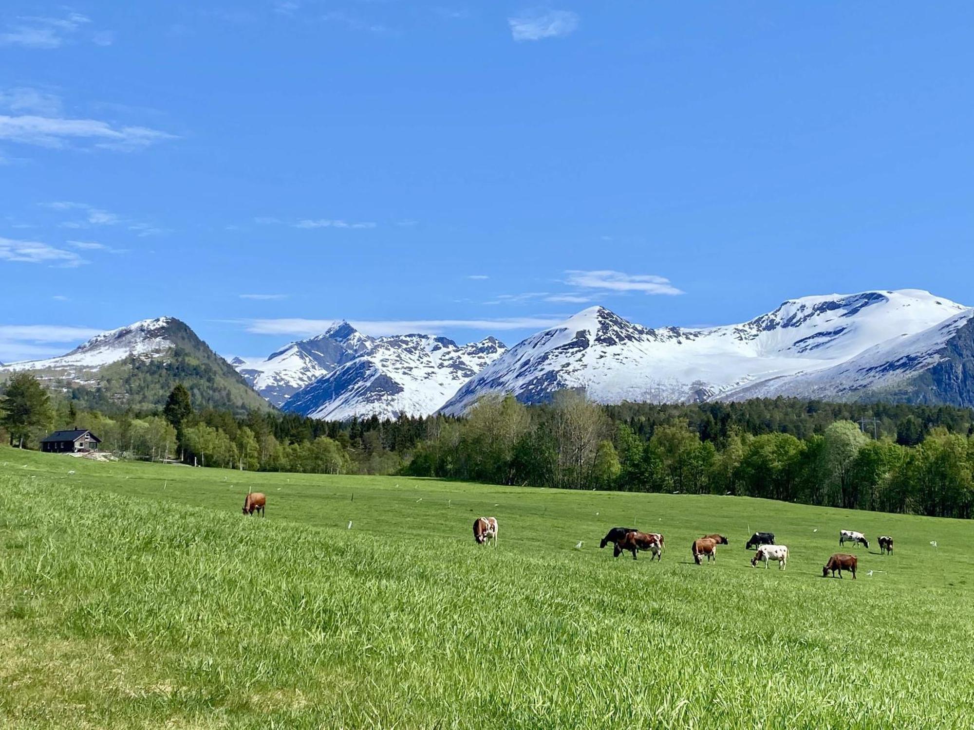 Heinali Hytta Villa Isfjorden Екстериор снимка